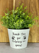 Load image into Gallery viewer, Personalised Garden Pot Plant